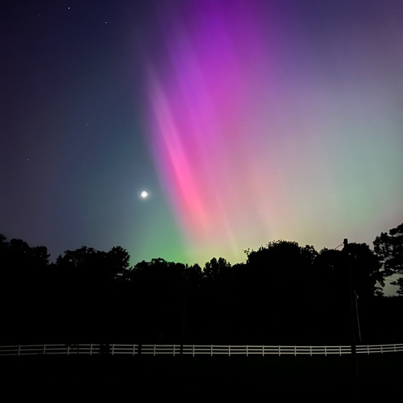 Meet your Posher, D.A. Fox - Picture 6 of 7